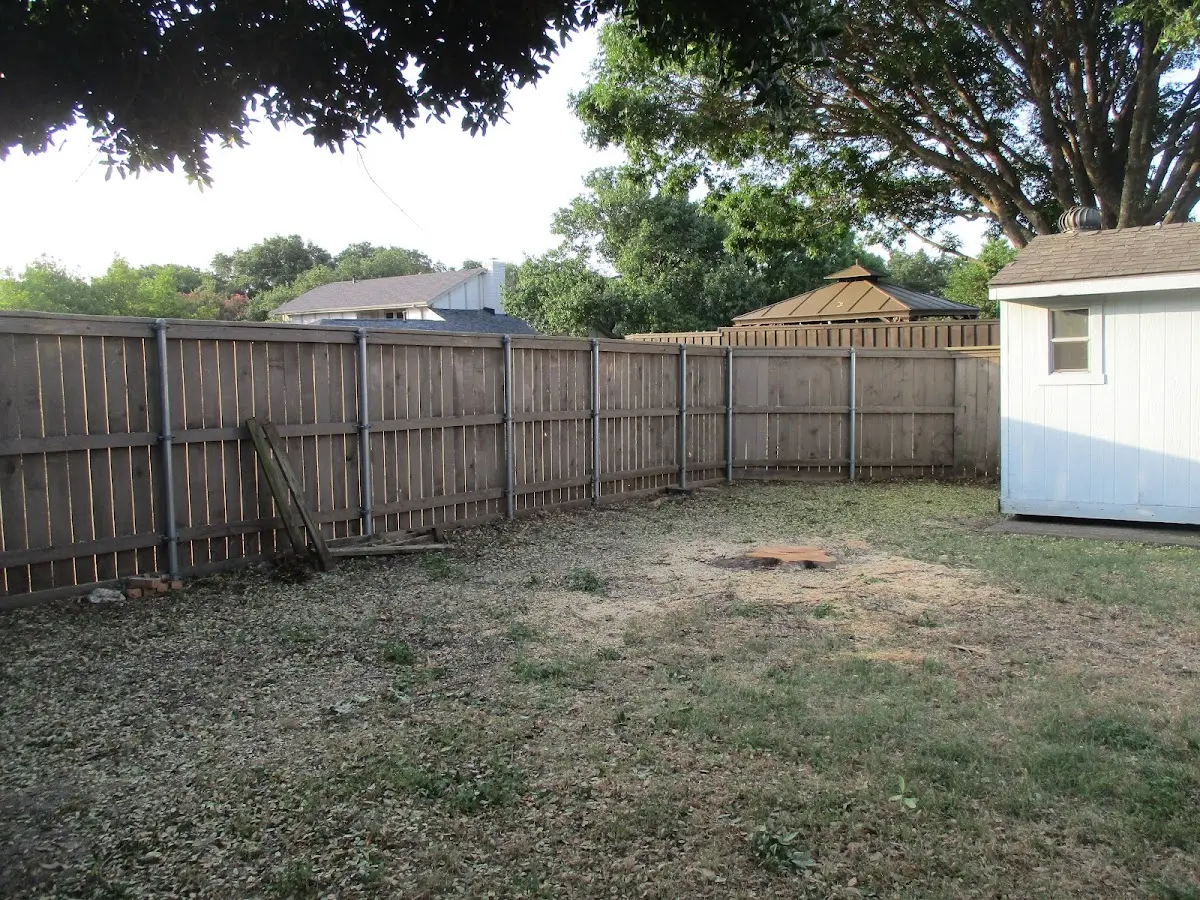 Cleared yard after professional tree removal in Montgomeryville